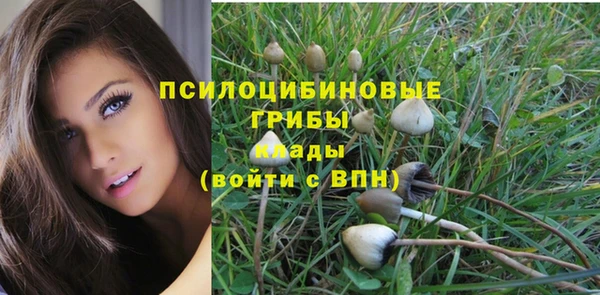 гидропоника Белокуриха