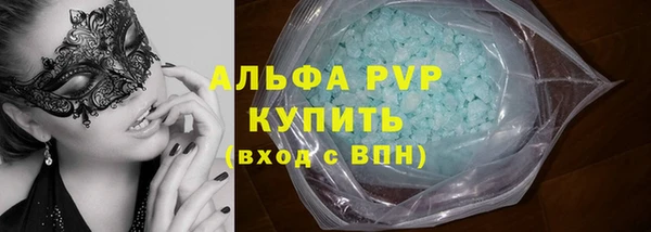 стаф Заводоуковск