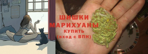 гидра Заволжье